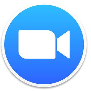 Team Page: Zoom Zoom